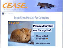 Tablet Screenshot of ceaseboston.org